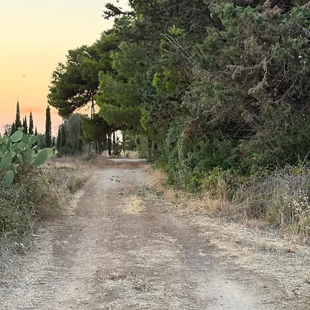 Petrosa