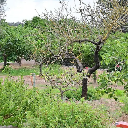 Holiday home Petrosa